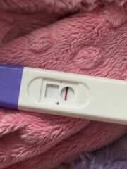 Light tests 14dpo