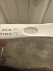 FRER 8DPO