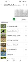 Garden birds today according to my Merlin app