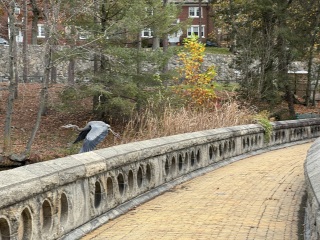 Come and tell us your dull and unexciting news 33: Calmly through the day