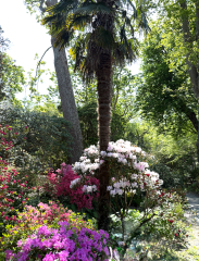 The Year Round Nigel Slater Discussion thread