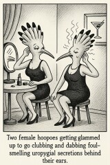 The Bluestocking - where women are women, and small furry animals are gerbils, quokkas,  capybaras, or a red panda called Rosy