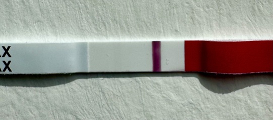 vvvfl or line eyes? 11DPO and losing it