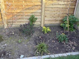 Please tell me how to arrange my border!