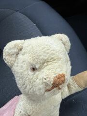 Can you date this teddy bear?