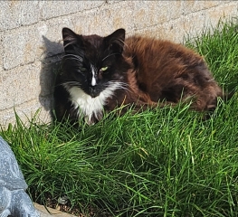 Mounjuro Auggies Thread 13