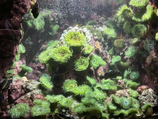 Come and tell us your dull and unexciting news 33: Calmly through the day