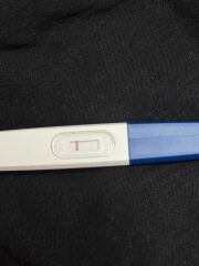 Light tests 14dpo