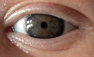 Baby eye colour predictions