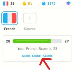 Duolingo