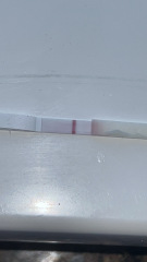 10dpo does anybody see it? X