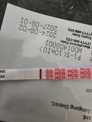 Pregnancy test (positive or negative)