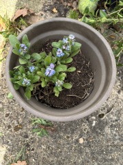 Help with pots please