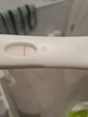 April 2025 TTC Support Group