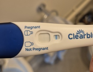 April 2025 TTC Support Group