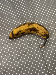How do you get really moist banana bread?