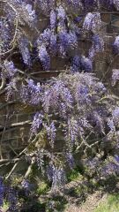 Any Witches Here? Part 21