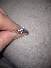 Lost Ring Found