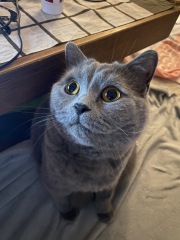 Thread 17 - TalkLair: "Okay, first of all, what's with the outfit? Live in the now, okay? You look like DeBarge."