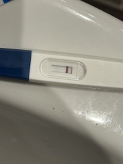 10dpo does anybody see it? X