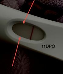 LINE EYE VETERANS NEEDED!❤️