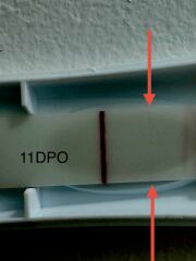 LINE EYE VETERANS NEEDED!❤️