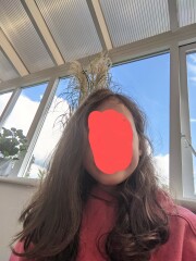 Help with DD thick frizzy hair (CGM not working)