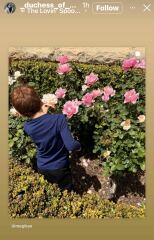 Confessions of a Female Founder fails  to chart this week