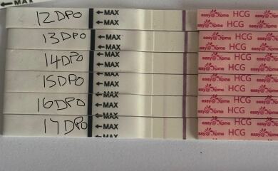 Test progression