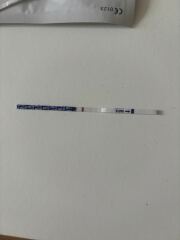 Are these positive??