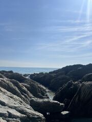 Mounjuro Auggies Thread 13