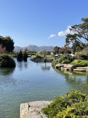 The Year Round Nigel Slater Discussion thread