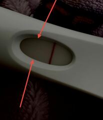 April 2025 TTC Support Group