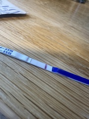 April 2025 TTC Support Group