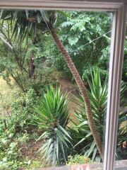 Would a garden that was too nice put you off?