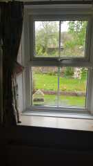 Which type of window?