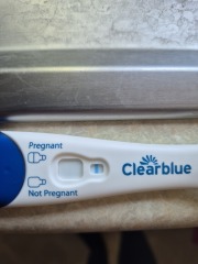 April 2025 TTC Support Group