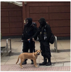 Memories of the last few years of madness