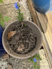 Help with pots please