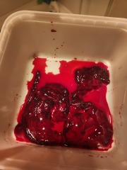 GRAPHIC PICS - Is this a miscarriage