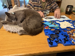 Hymns in Minor Keys & the Russian Easter Overture - the Excellent Cats ignore Culture.....