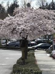 Come and tell us your dull and unexciting news 33: Calmly through the day