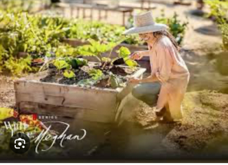 Confessions of a Female Founder fails  to chart this week