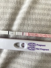 May 2025 TTC Support Group