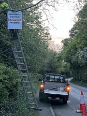 Runcorn helsby bi election - who to vote for to keep reform out