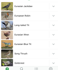Garden birds today according to my Merlin app