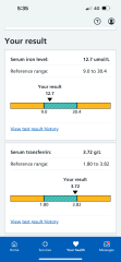 Is this low iron (test results)