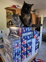 Hymns in Minor Keys & the Russian Easter Overture - the Excellent Cats ignore Culture.....