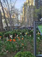 New York Recommendations