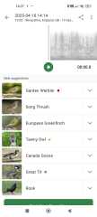 Garden birds today according to my Merlin app